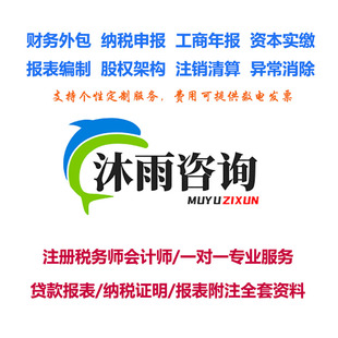 报表制作纳税申报贷款报表完税证明报表附注资料P图Exl模板定制