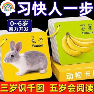 【彩虹房子】早教卡拍5件/540面