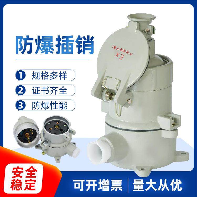 防爆插销AC-16/32A直插5孔防爆插接装置220/380V防爆插头工业插座,五金/工具,其它仪表仪器,淘宝优惠券,粉丝福利购,淘宝优惠卷