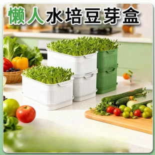 四季吃新鲜豆芽全自动豆芽发芽神器大号水培育苗托盘专用盆D