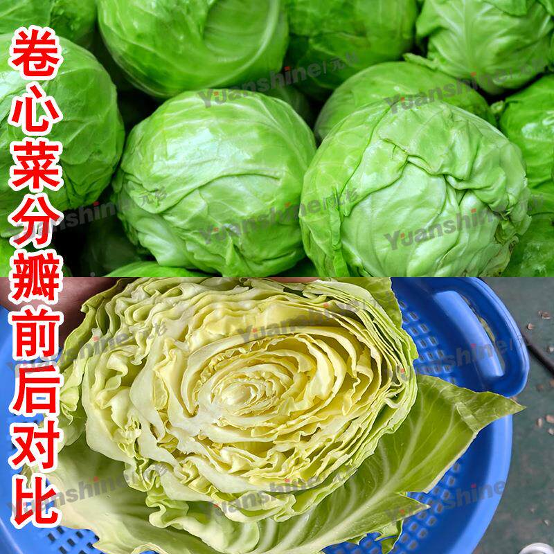 大型果蔬分两瓣设 备蘑菇西葫NWE芦分瓣机 冬浦芋头瓜荔分半机