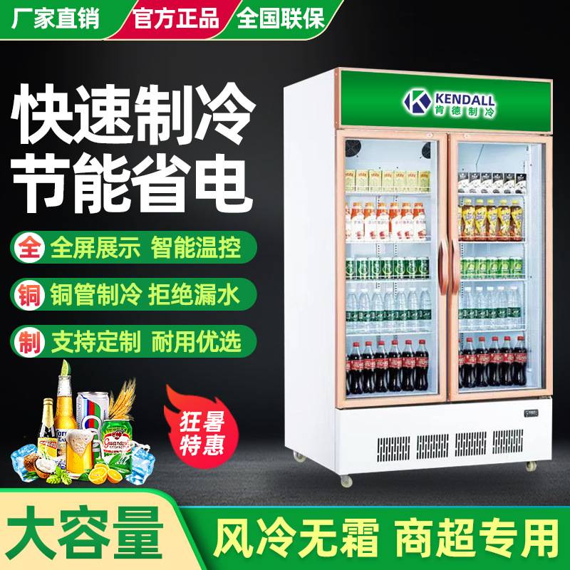 肯德单门双门三门啤酒展示柜 大容量立式直冷超市便利店 饮料柜