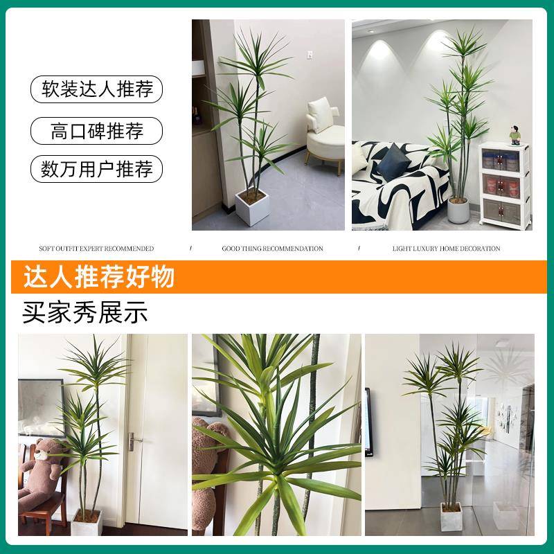 天台华莲假绿植龙血树轻奢仿真植物高端室内客厅装饰落地摆件大型
