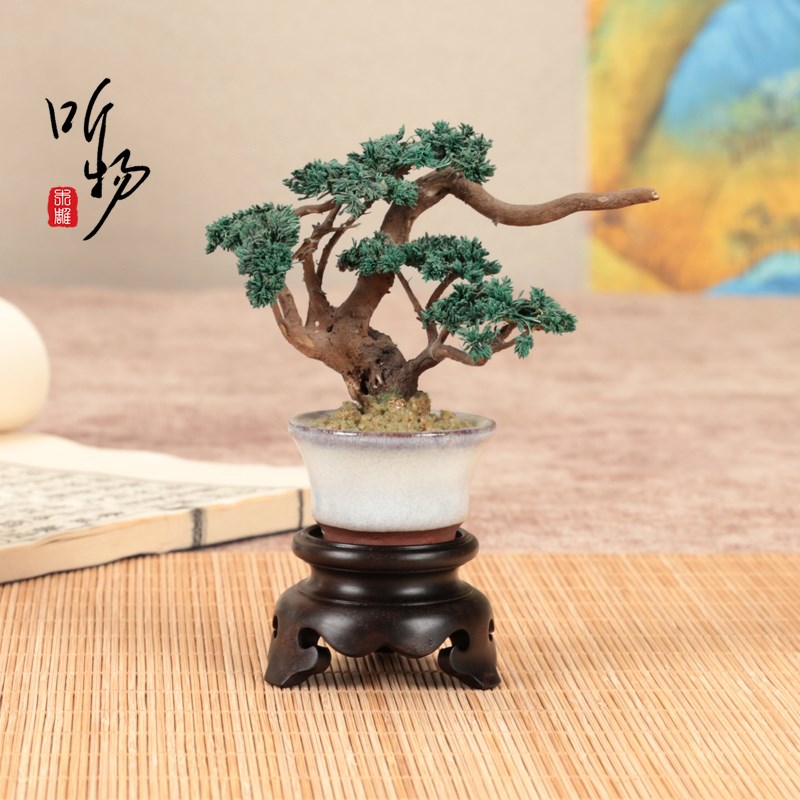 实木大红酸枝微型盆栽展示木托整木铭杯花器铜葫芦核桃摆件圆底座