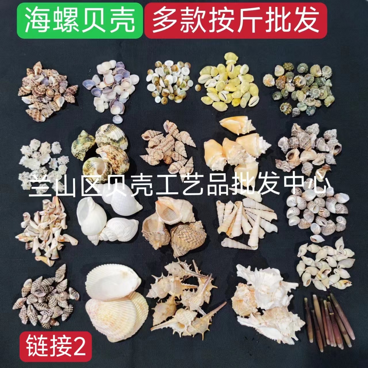 贝壳天然贝壳海螺按斤卖海星手工dry鱼缸造景厂家直销多款按斤批