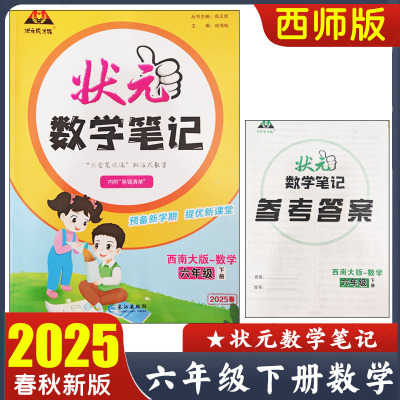 状元数学笔记六6年级下册数学
