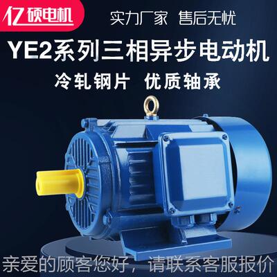 厂家直发三相2异步电动机 YE3列Y2 638纯铜 55w.-6 Y系E2-132M-6