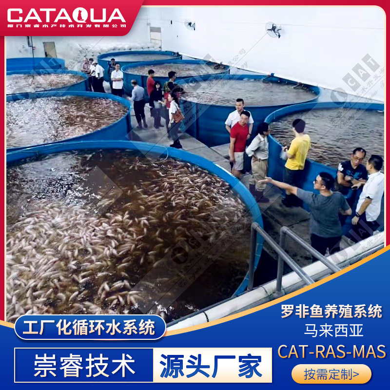 马来西亚RAS养殖工厂化循环水系统现代罗非鱼PP鱼池养殖渔场,玩具/童车/益智/积木/模型,水上游艺设施,淘宝优惠券,粉丝福利购,淘宝优惠卷