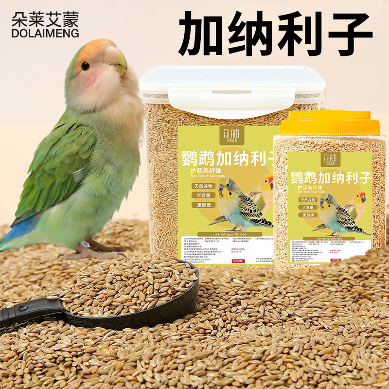 鹦鹉鸟粮鸟食虎皮玄凤专用粮天然加纳利籽奖励训练鸟零食主粮饲料,宠物/宠物食品及用品,鸟食,淘宝优惠券,粉丝福利购,淘宝优惠卷