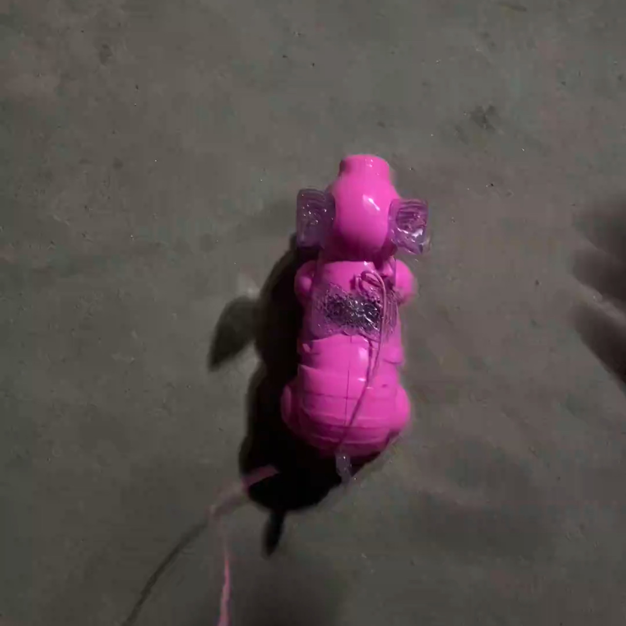 新款趣味儿童发光小猪玩具新款电动牵绳动物玩具灯光可遛弯玩具