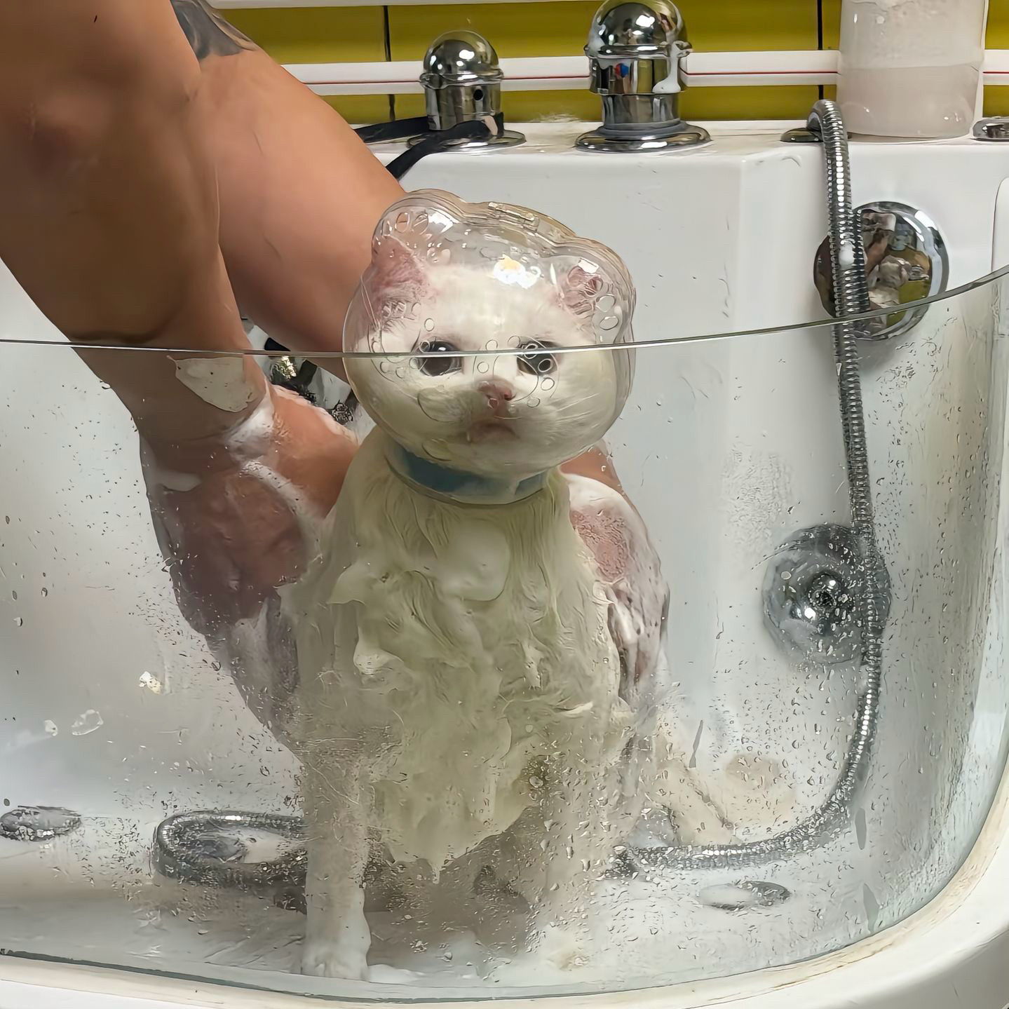 剪指甲洗澡猫头罩猫咪嘴套透明头套头套防咬人神器猫脚套新款2026