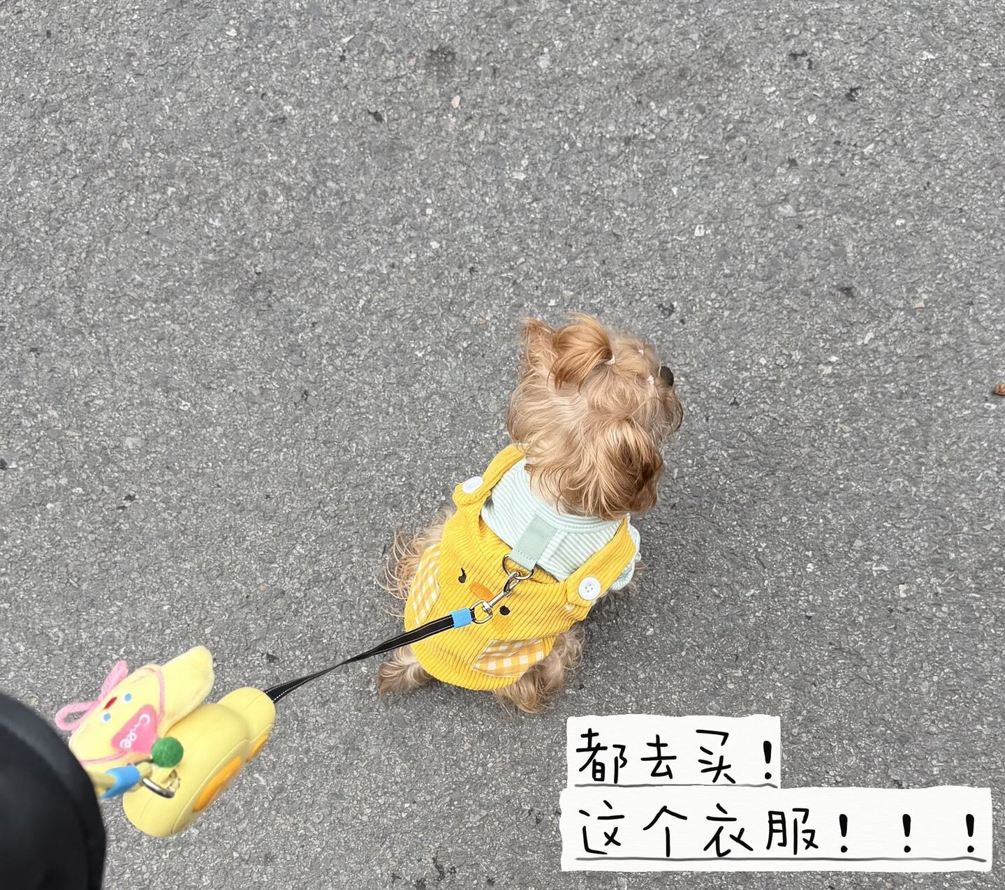 宠物狗狗衣服秋冬款加绒保暖背带裤比熊泰迪小型犬可爱卡通卫衣