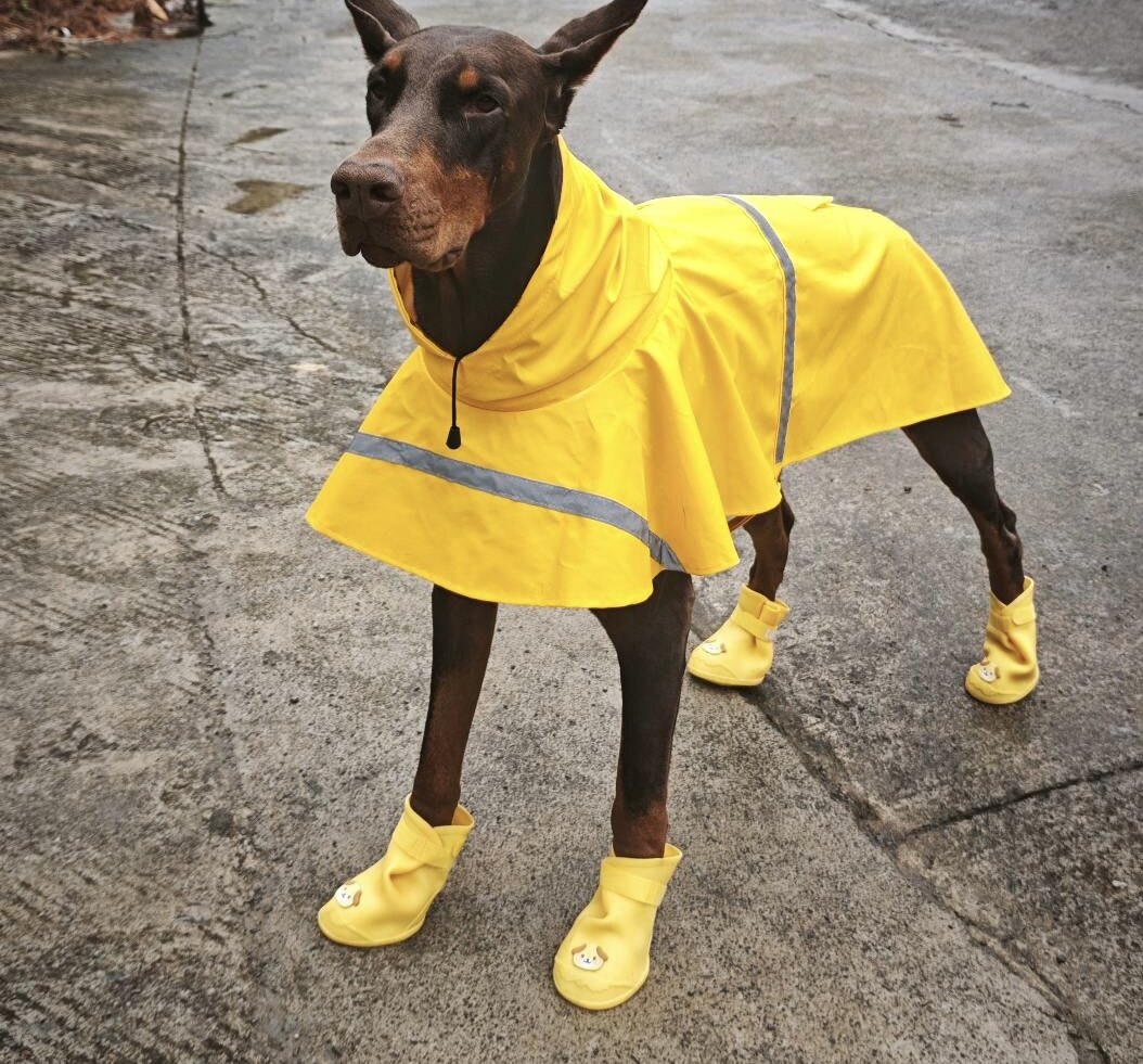 狗狗大型犬金毛大狗卡通硅胶雨鞋雨天外出防滑耐磨防水宠物狗鞋子