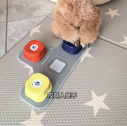 狗狗按钮说话训练宠物交流发声狗对话按键猫咪吃饭小狗猫按铃器犬