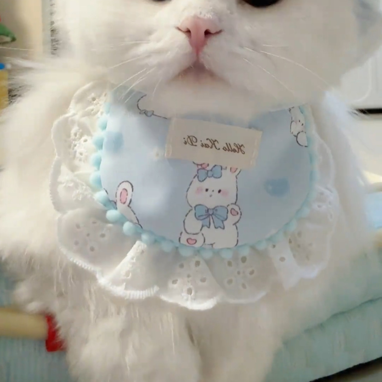 猫咪围兜狗狗围脖围嘴夏季卡通围嘴蓝色小兔子可爱宠物口水巾