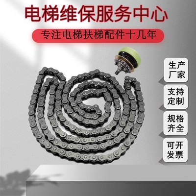 扶梯电梯扶手带链条驱动传动链梯级驱动链E50#172节10A-1适用日立
