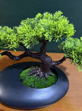 仿真观FYR松树迎客松人罗汉松客厅书房装饰假造型美发财树景摆件