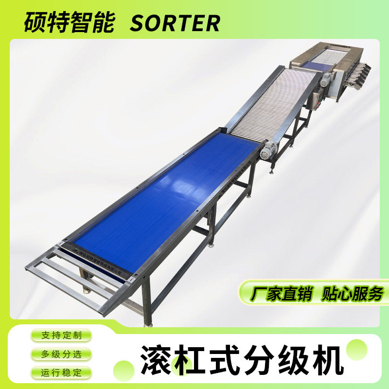 连续式橙子直径选果机 荔枝大小分选机 滚杠式百香果砂糖橘分拣机