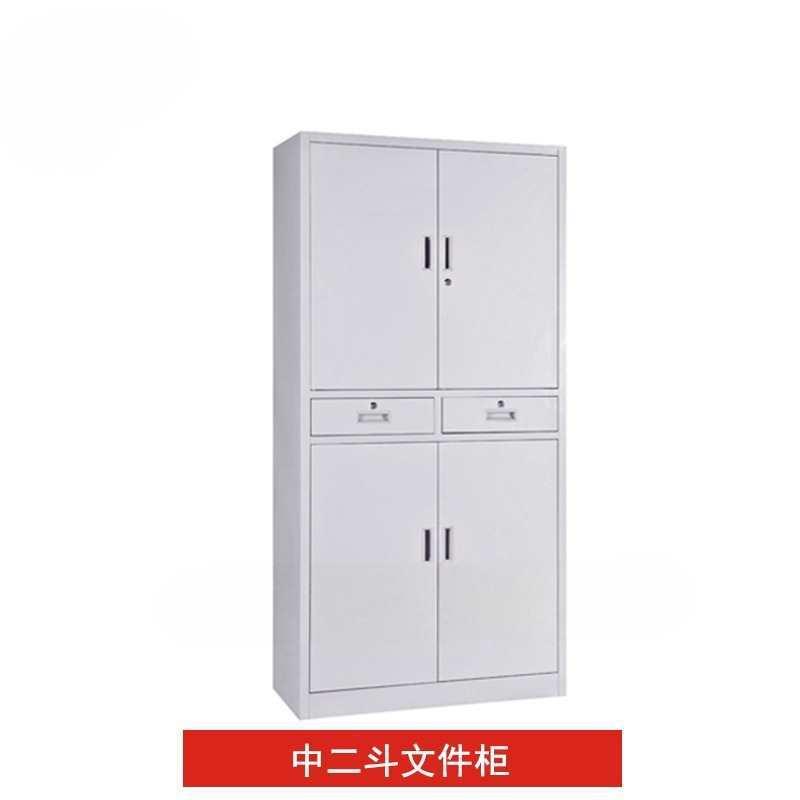 铁皮文件柜定制公司员工文件柜办公室资料柜档案柜厂家文件