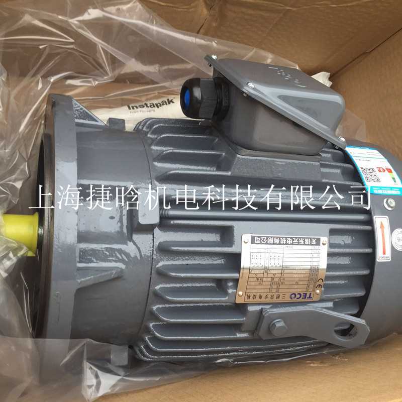 TECO东元电机三相异步马达25HP 18.5KW 4P AEEFF3 AEVFF3 IE2