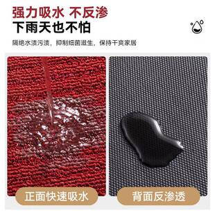 别墅感关地毯家耐脏免洗玄可擦进门地口 入户用垫2F77699HH024新款