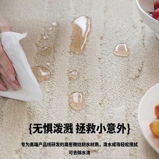 无胶抗菌硅藻丝防水免洗可擦轻奢高级地垫 地毯客厅奶油风2024新款