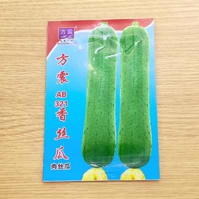 肉丝瓜种子高产嫩甜肉丝瓜苗