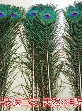家居饰品摆饰孔雀羽毛纯天然真孔雀毛花瓶装饰品孔雀翎尾婚庆羽毛