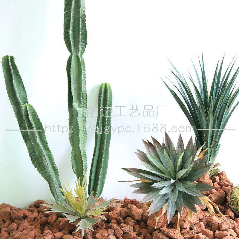 成套绿植景观组合套装室内人造景观沙漠仙人掌装饰展厅橱窗套装