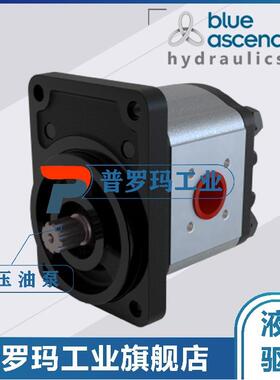 土耳其BLUE ASCEND齿轮泵AP20.160/220/250/280/320/115.CGL01SN