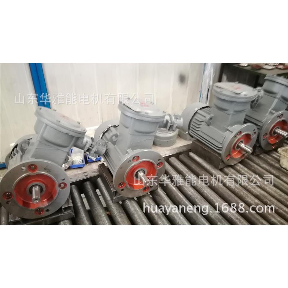 制动YE4EJ-225S-4-37KW电机制动Y2EJ电机IP54/F级采用YBX3零部件