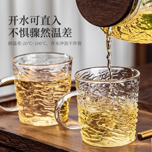 家用待客厅高级感泡茶杯具带把水壶 高硼硅耐高温玻璃喝水杯子套装
