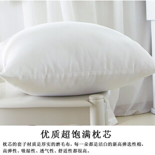6565 6060 4055 5555 沙发抱枕芯子靠垫芯子腰枕头芯大靠枕芯4545