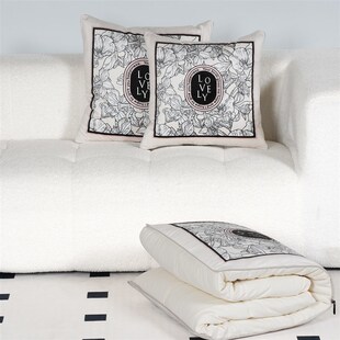 抱枕被子二合一两用车载折叠午睡毛毯枕头夏季空调被高级轻奢定制