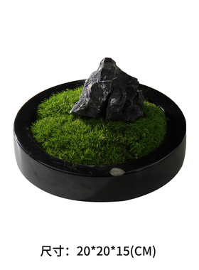 样板间售楼部洽谈桌装饰花艺书房书架卧室床头柜成品花艺绿植摆件