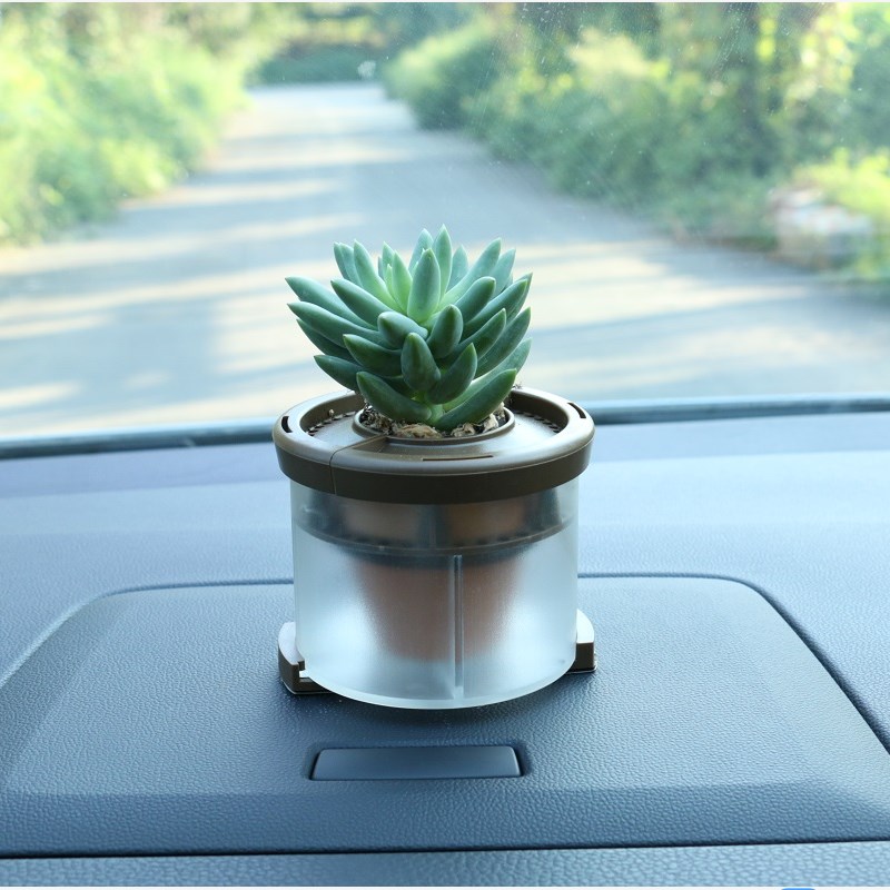车内植物盆栽真花新车除甲醛除异味车内用品汽车中控台上车载摆件