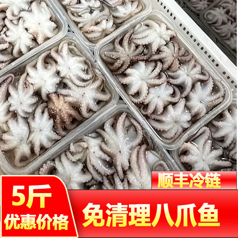 新鲜八爪鱼鲜活冷冻海鲜小章鱼迷冷冻章鱼