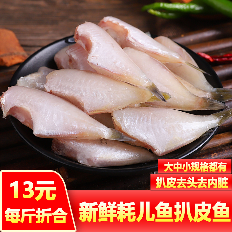 耗儿鱼扒皮鱼新鲜剥皮鱼大号冷冻中号小号冰冻马面鱼橡皮鱼海鲜