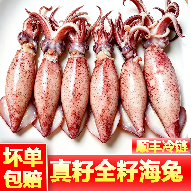 满籽海兔新鲜海兔带籽海兔全籽籽乌笔管鱼墨鱼籽海鲜商用批发图片
