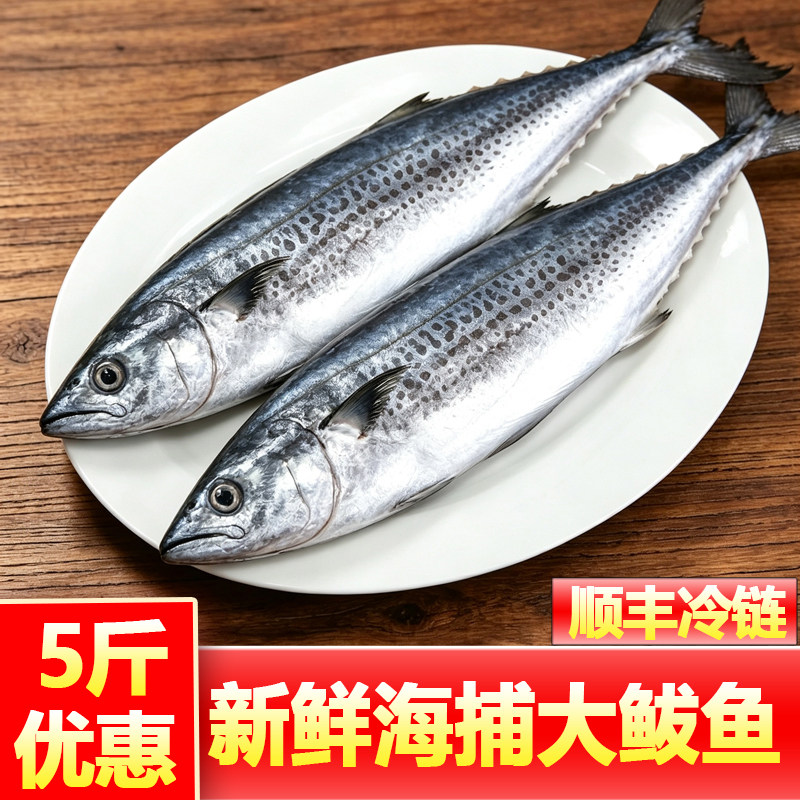 马鲛鱼整条新鲜冷冻大马鲛鱼鲅鱼整条新鲜冷冻海鲜水产商用批发