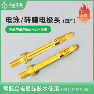 BIO-RAD伯乐/天能 电泳电极头 电泳槽电极头 转膜电极头 小型垂直