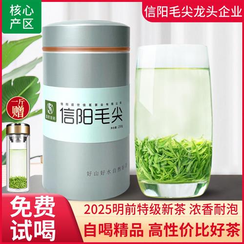 绿茶信阳毛尖2025新茶明前特级嫩芽浓香型春茶散装毛尖茶叶500g