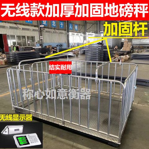 无线地磅秤称猪专用牛电
