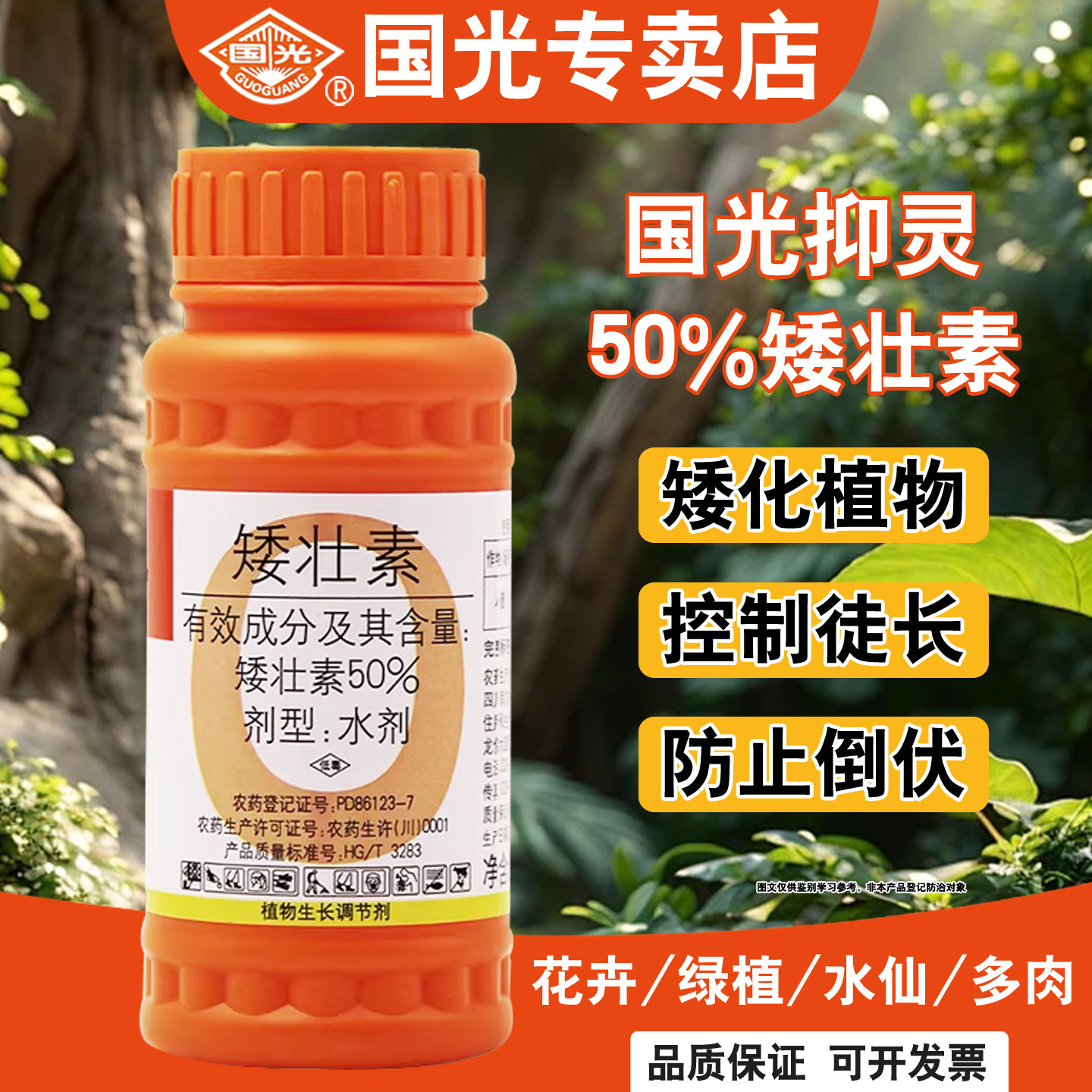 国光矮壮素玉米花卉专用控旺农药花生红薯菊花控梢植物通用调节剂