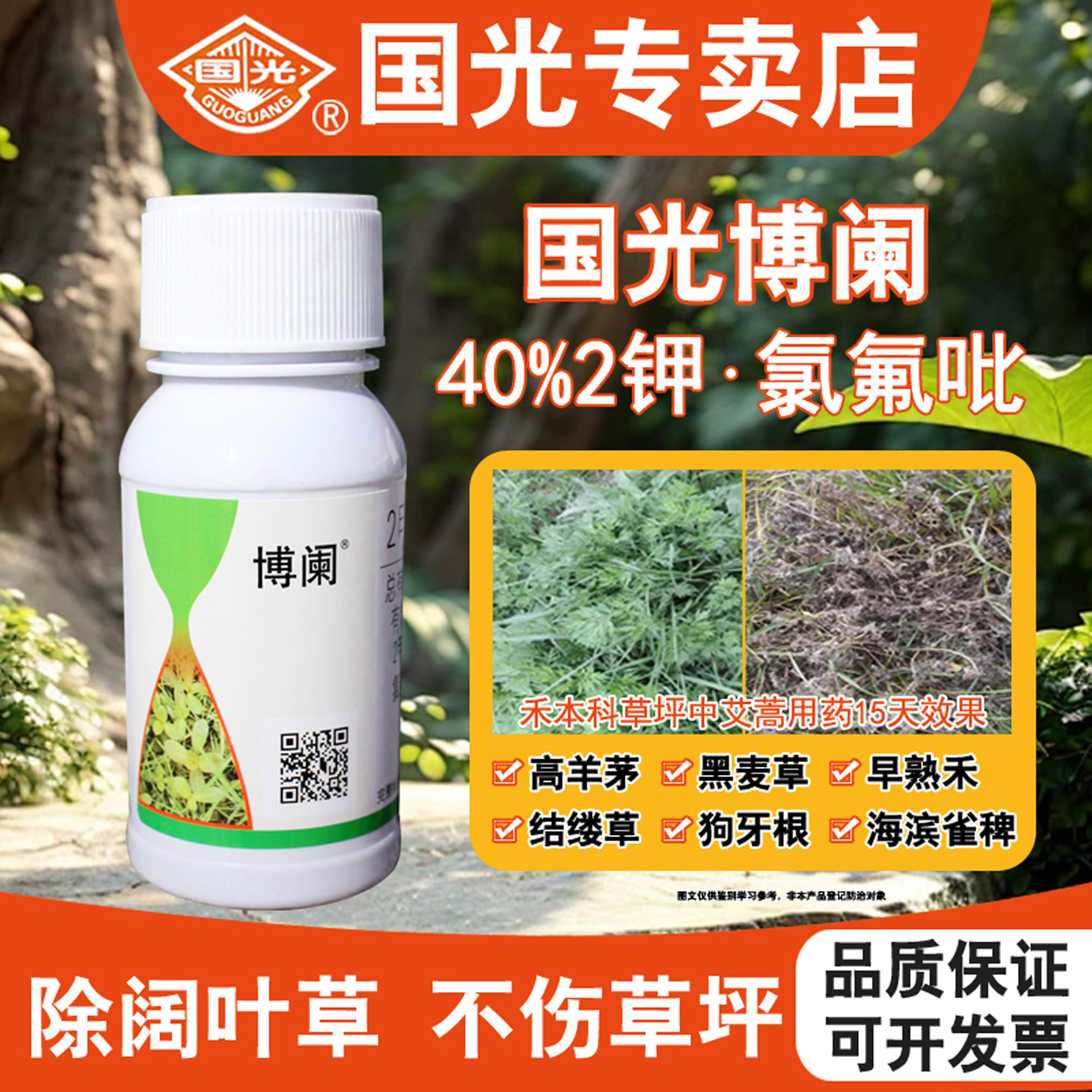 国光博阑二甲四氯使它隆草坪专用除草剂杀节节草水花生烂根药正品