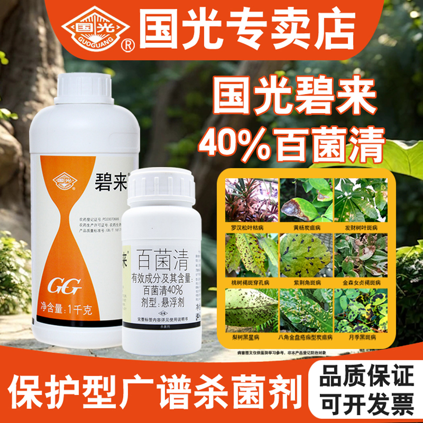 国光碧来百菌清植物叶斑霜霉病杀菌剂农药正品大全特专用药效通用