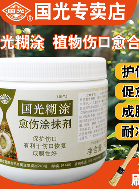 国光糊涂植物伤口愈合剂嫁接树木修剪树枝干树皮腐烂流胶封口修复