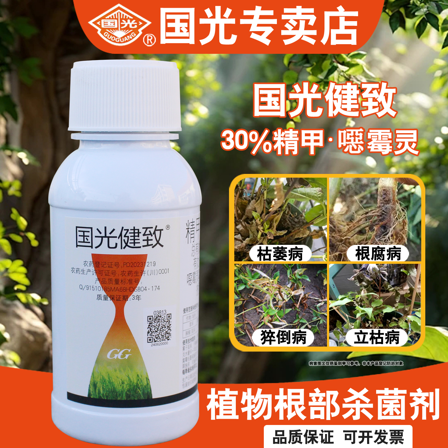 国光健致植物烂根腐病专用杀菌剂