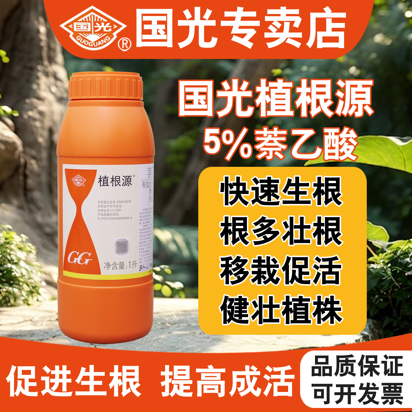国光植根源萘乙酸扦插移栽生根剂
