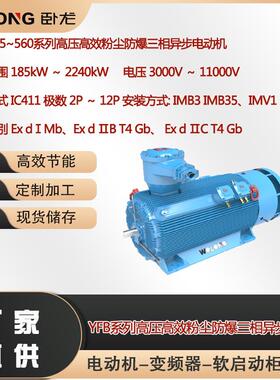 YBF-5001-21250W高压隔爆型水冷异步电动机6极高压电机
